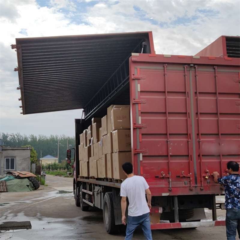 大兴区扎囊县：物流专线的高效货运之旅